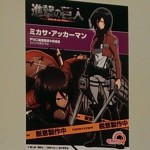 Wonder Festival 2013 - Mikasa Ackerman - Shingeki no Kyojin - QuesQ