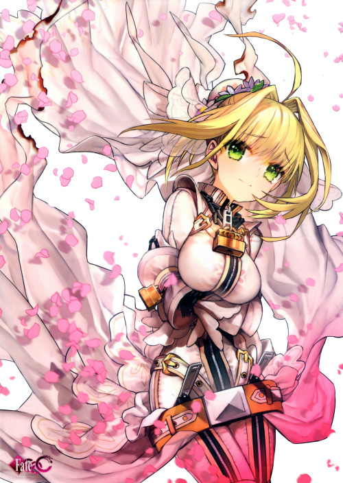 saber-bride-wada-ruko